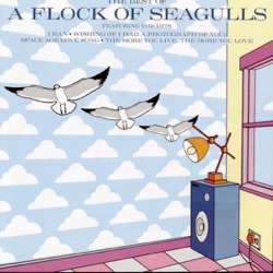 A Flock of Seagulls - The More You Live, the More You Love