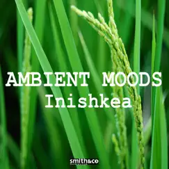 Ambient Moods by Inishkea album reviews, ratings, credits