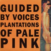 Plantations of Pale Pink - EP artwork