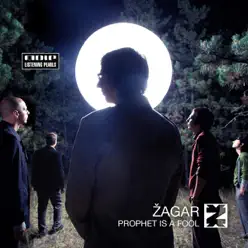 Prophet Is a Fool - Zagar Prophet Is a Fool - Zagar