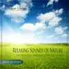Relaxing Sounds of Nature for Relaxation, Mediation, Deep Sleep & Spa album lyrics, reviews, download