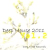 Deep House 2011 - Vol.2