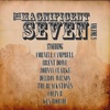 Magnificent Seven Vol 9