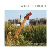 Walter Trout - May Be a Fool