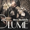 Blume (Original Mix) - Single
