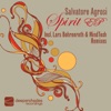 Spirit EP, 2010