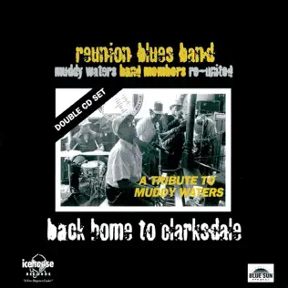 baixar álbum Reunion Blues Band - Back Home to Clarksdale