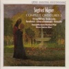 Werner Andreas Albert & Kaiserslautern SWF Radio Orchestra - Bruder Lustig, Op. 4: Act II: Vision