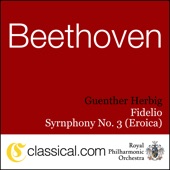 Fidelio, Op. 72c - Overture artwork