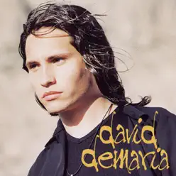 David de Maria - David DeMaría