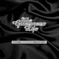 Glamorous Life (T-Funk 12