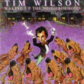 Tim Wilson - George is On My Mind