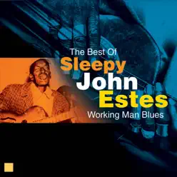 Working Man Blues (The Best Of Sleepy John Estes) - Sleepy John Estes