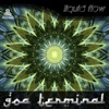 Goa Terminal - EP