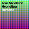 Hypnotizer Remixes - Single, 2010