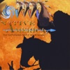 Native America the Gathering of the Four Winds