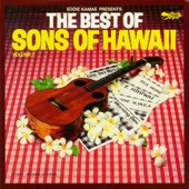 The Best of Sons of Hawaii, Vol. 1 artwork
