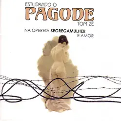 Estudando o Pagode - Tom Zé