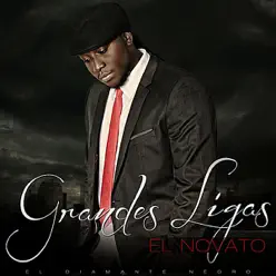 Grandes Ligas - El novato