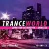 Trance World, Vol. 13 (Unmixed) album lyrics, reviews, download