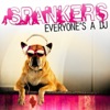 Everyone's a DJ - Single