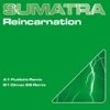 Reincarnation - Single