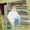 LOGAN SMITH - Won't It Be Wonderful There