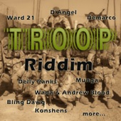 Troop Riddim artwork