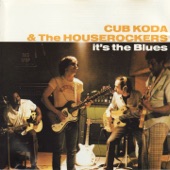 Cub Koda and the House Rockers - The Dirty Duck Blues