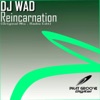 Reincarnation - Single