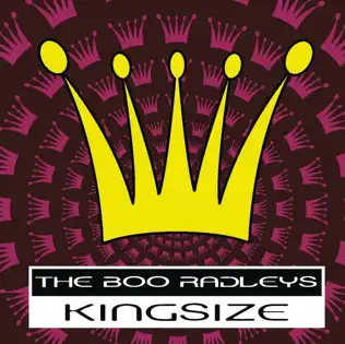 Album herunterladen The Boo Radleys - Kingsize