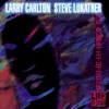 Larry Carlton - The Pump
