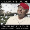 Tiger By the Tail (The Tale of Tiger Woods) - Single