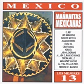 Canción Del Mariachi artwork