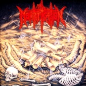 Mortification - Scrolls Of The Megilloth