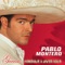 Novíllero - Pablo Montero lyrics