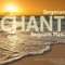 Requiem Mass: I. Introit. Requiem aeternam - Maurus Pfaff & Monks' Choir of the Benedictine Abbey of St. Martin, Beuron lyrics