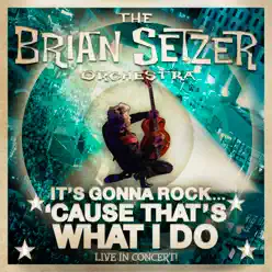 It's Gonna Rock…'Cause That's What I Do - The Brian Setzer Orchestra