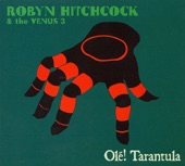 Robyn Hitchcock - (A Man's Gotta Know His Limitations) Briggs