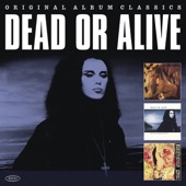 Dead or Alive - I Cannot Carry On