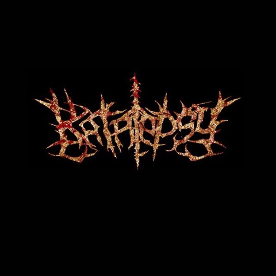 Cover artwork for S.O.D.