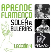 Aprende Flamenco. Soleá y Bulerías: Lección 4 artwork