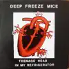 Teenage Head In My Refrigerator album lyrics, reviews, download
