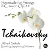 Tchaikovsky: Serenade for Strings in C major, Op. 48 album lyrics, reviews, download