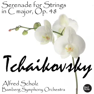 Serenade for Strings in C major, Op. 48: II. Valse by Alfred Scholz & Bamberg Symphony Orchestra song reviws