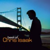 Chris Isaak - I Want You to Want Me