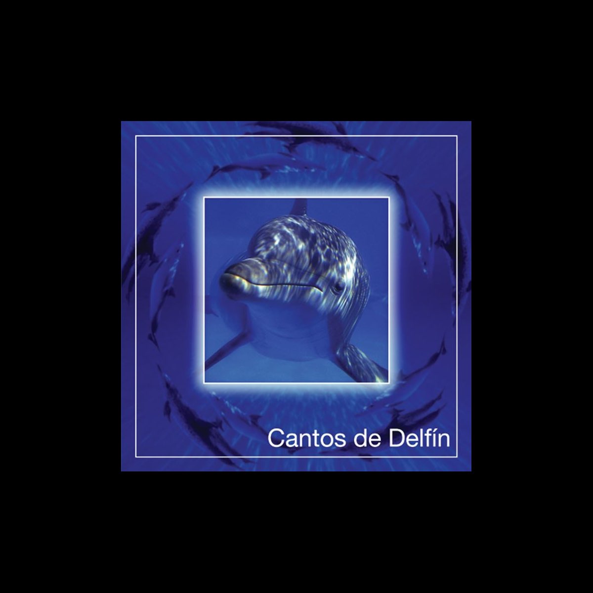‎Cantos de Delfín by Geoff Rowell on Apple Music