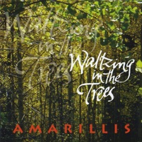 Waltzing in the Trees by Amarillis on Apple Music