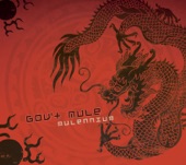 Gov't Mule - Blues Is Alright (Live)