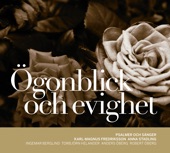 Ögonblick och evighet